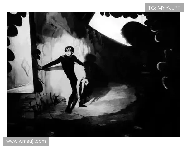 山猫电影：在光影之间，捕捉不羁的灵魂与自然的低语